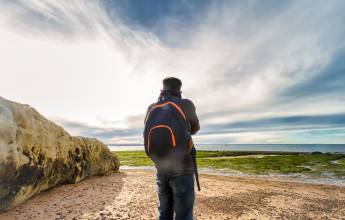 Valdés Peninsula Add-on Tour