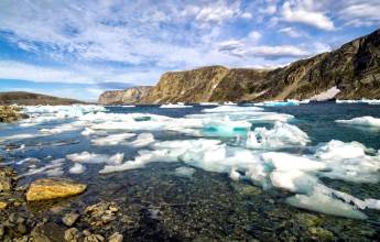 Greenland to Newfoundland: Mountains, Wildlife and Viking History