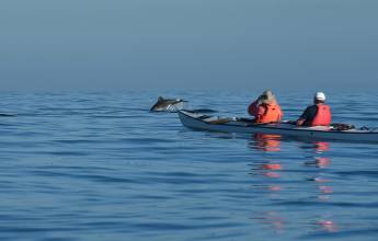 Highlights of South Africa’s Winelands