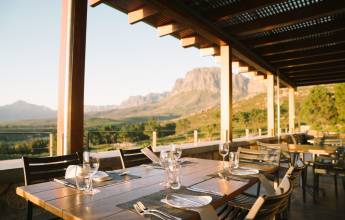 Highlights of South Africa’s Winelands