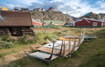 Greenland to Newfoundland: Mountains, Wildlife and Viking History