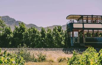 Discover South Africa’s Garden Route