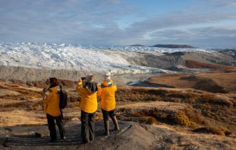 Greenland to Newfoundland: Mountains, Wildlife and Viking History
