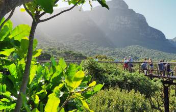 Highlights of South Africa’s Winelands