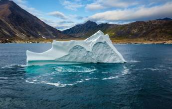 Greenland to Newfoundland: Mountains, Wildlife and Viking History