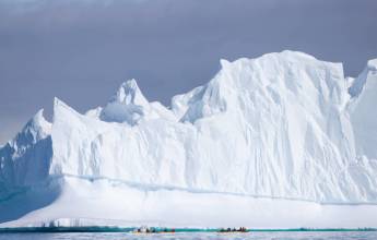 Penguins of the Far South: Falklands, South Georgia & Antarctica