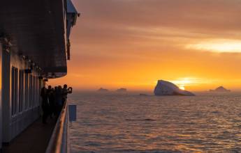 Penguins of the Far South: Falklands, South Georgia & Antarctica