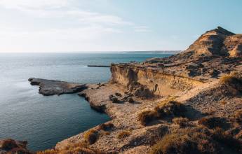 Valdés Peninsula Add-on Tour