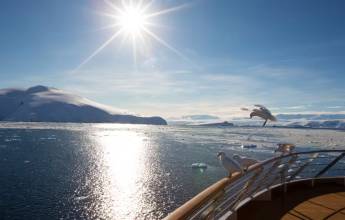 Antarctic Express: Sail South, Fly North via Buenos Aires