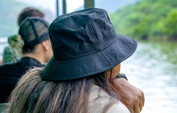 Essential Kruger Safari