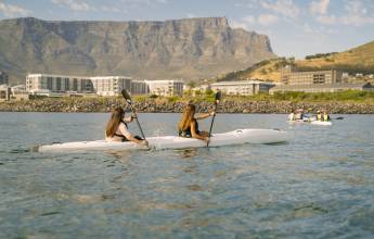 Highlights of South Africa’s Winelands