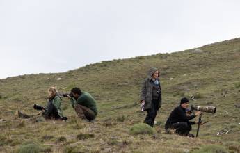 Puma Tracking Add-on Tour