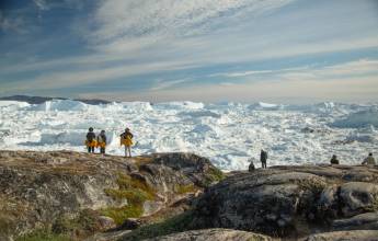 Greenland to Newfoundland: Mountains, Wildlife and Viking History
