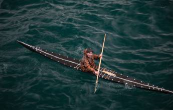 Greenland to Newfoundland: Mountains, Wildlife and Viking History