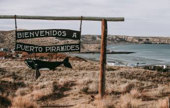 Valdés Peninsula Add-on Tour