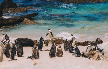 Discover South Africa’s Garden Route