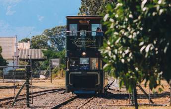 Discover South Africa’s Garden Route