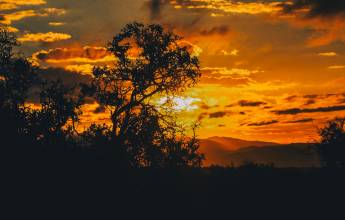 Discover South Africa’s Garden Route