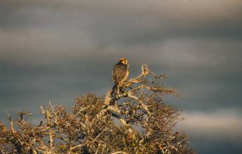 Discover South Africa’s Garden Route