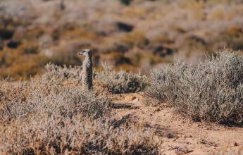 Discover South Africa’s Garden Route