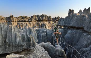 Madagascar Wildlife Adventure