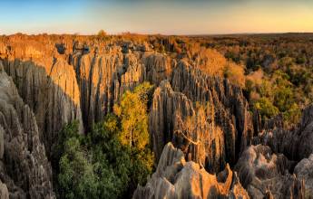 Madagascar Wildlife Adventure