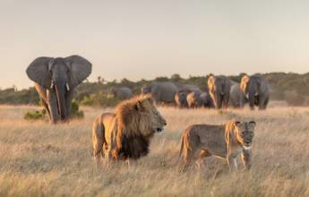 Best of the Garden Route – Premium Adventure