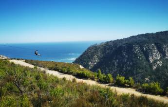 Discover South Africa’s Garden Route