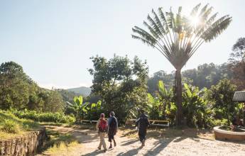 Madagascar Wildlife Adventure