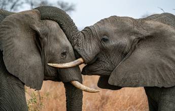 Discover South Africa’s Garden Route