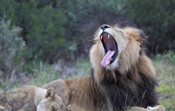 Discover South Africa’s Garden Route