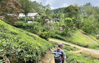 Hike Sri Lanka’s Pekoe Trail