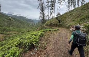 Hike Sri Lanka’s Pekoe Trail