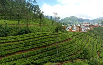 Hike Sri Lanka’s Pekoe Trail