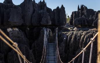 Madagascar Wildlife Adventure