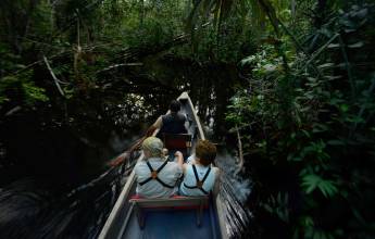 Sacha Lodge Add-on Tour