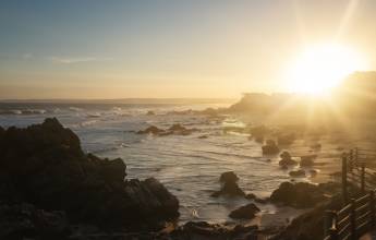 Cape Town and the Garden Route – Premium Adventure