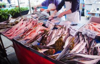 Discover Malta & Gozo