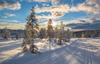 Cross-Country Skiing in Skåbu, Norway