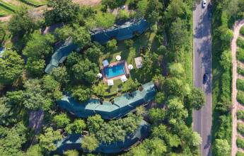 Essential Kruger Safari