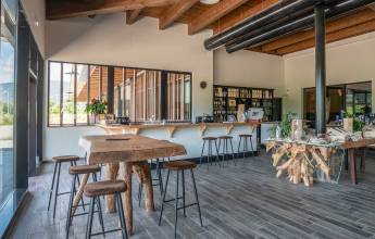 Walks & Food of the Italian Riviera