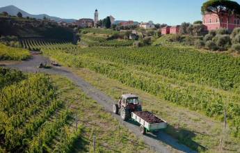 Walks & Food of the Italian Riviera