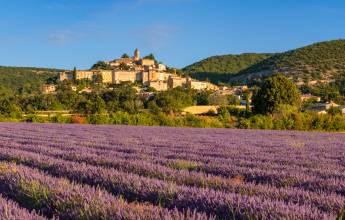Discover Provence