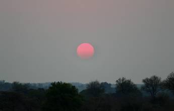 Essential Kruger Safari