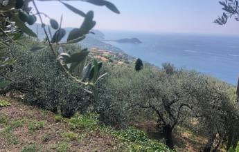 Walks & Food of the Italian Riviera