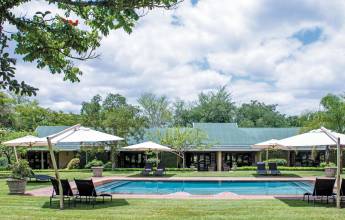 Essential Kruger Safari