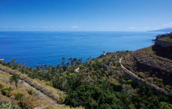 Walking Tenerife and La Gomera
