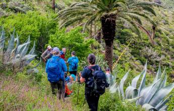 Walking Tenerife and La Gomera