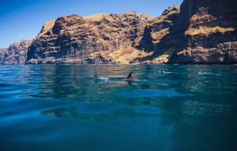 Walking Tenerife and La Gomera