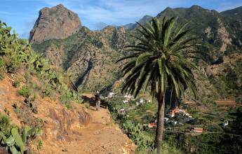 Walking Tenerife and La Gomera